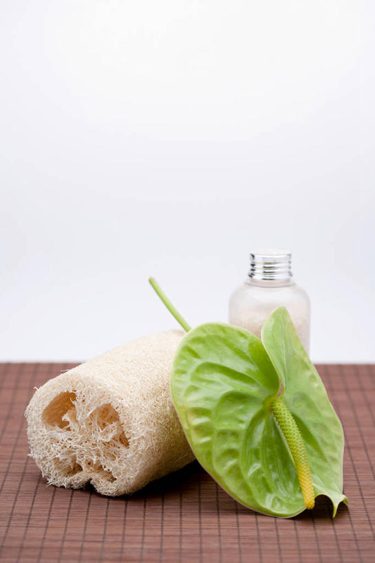 无人,竖图,室内,特写,白天,正面,热情,静物,阴影,反射,海绵,影子,火鹤花,安祖花,干净,玻璃制品,玻璃瓶,瓶子,清洁,享受,健康,放松,红掌,花烛,卫生,红鹤芋,猪尾花,烛台花,蜡烛花,大展宏图,热血,彩图,浴用海绵