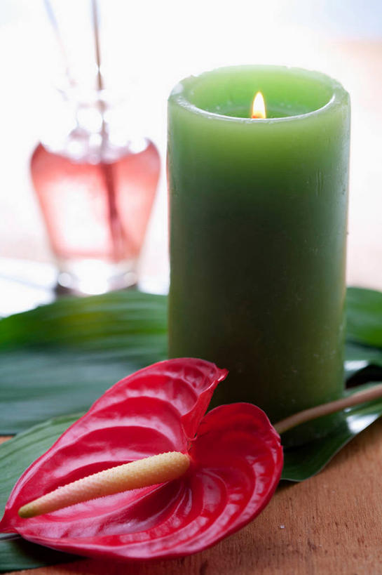 无人,竖图,室内,特写,白天,正面,热情,火,蜡烛,朦胧,模糊,盛开,火焰,火鹤花,安祖花,燃烧,花蕾,玻璃制品,花,花瓣,花朵,鲜花,一个,玻璃瓶,精油,瓶子,香薰,花苞,花蕊,放松,芳香疗法,单个,红掌,花烛,舒心,舒缓,香薰精油,养颜,红鹤芋,猪尾花,烛台花,蜡烛花,大展宏图,热血,减压,烛炬,香薰疗法,植物精油,彩图,香薰蜡烛