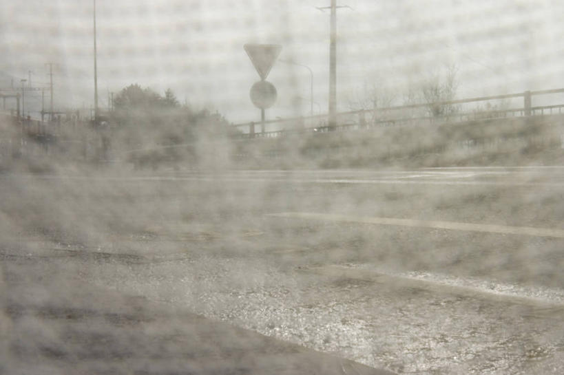 无人,横图,室外,白天,正面,植物,朦胧,模糊,树,树木,绿色,自然,生长,成长,污染,危害,有害,环境污染,彩图,大气污染