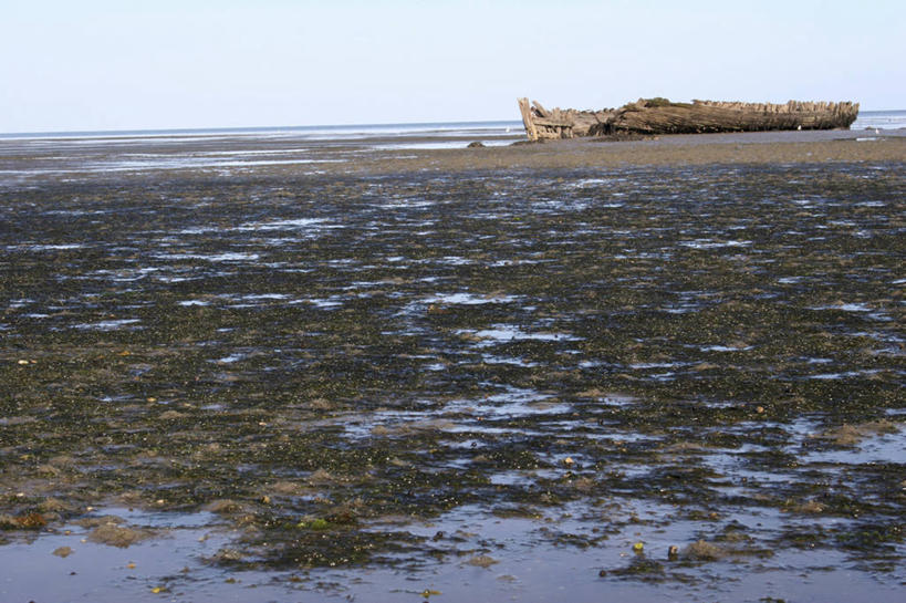 无人,横图,室外,白天,正面,旅游,度假,海浪,海洋,美景,沙滩,船,德国,欧洲,荷兰,阴影,光线,沙子,影子,海岸,景观,浪花,水平线,辽阔,木船,海平线,沙地,娱乐,蓝色,蓝天,天空,阳光,自然,海水,交通工具,天,享受,休闲,广阔,景色,放松,晴朗,一望无际,舟,西欧,自然风光,载具,海景,万里无云,德意志联邦共和国,荷兰王国,尼德兰王国,无边无际,一马平川,大海,风浪,海,海水的波动,海滩,近岸浪,涌浪,晴空,晴空万里,彩图,瓦登海,水天相接,水天一线