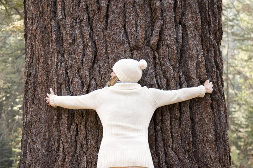 西方人,一个人,站,伸展双臂,抱,横图,室外,白天,毛衣,森林,树林,植物,帽子,欧洲,欧洲人,仅一个年轻女性,仅一个女性,仅一个人,阴影,光线,纹路,纹理,影子,树桩,扭头,树,树干,树木,背面,绿色,白色,阳光,自然,站着,转头,木桩,生长,成长,抱着,搂着,线衫,肌理,棉帽,毛线衣,绒线衣,年轻女性,女人,女性,白种人,敞开双臂,搂,搂抱,伸开双臂,展开双肩,站立,张开手臂,张开双臂,半身,彩图,绒衣,套衫,套头毛衣,线衣