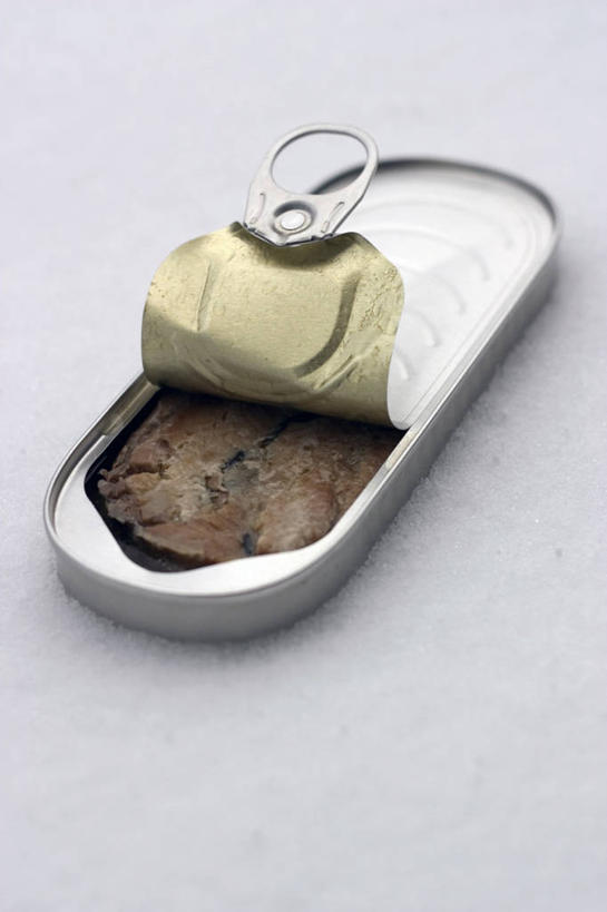 无人,竖图,俯视,室内,特写,白天,阴影,灰色背景,反射,罐头,罐子,影子,肉,鱼肉,肉类,一个,摄影,影棚,单个,罐头食品,肉食,彩图,高角度拍摄,影棚拍摄,拍摄