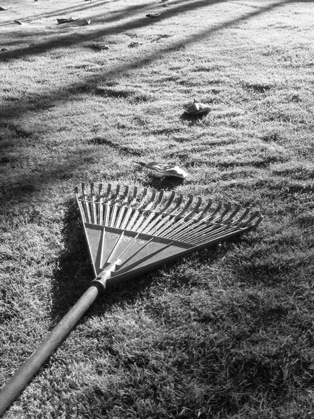 无人,竖图,俯视,黑白,室外,特写,白天,草地,草坪,植物,金属制品,阴影,朦胧,模糊,光线,金属,工具,影子,草,一个,阳光,单个,耙子,农具,耕具,高角度拍摄