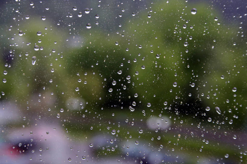 无人,横图,室内,特写,白天,正面,草地,草坪,雨,植物,窗户,朦胧,模糊,玻璃窗,草,树,树木,绿色,自然,车窗,生长,成长,细雨,小雨,彩图