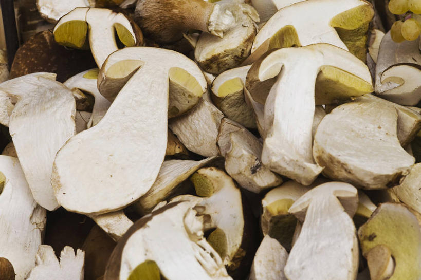 无人,横图,俯视,室内,特写,白天,蔬菜,一堆,许多,阴影,堆叠,堆积,新鲜,反射,影子,菌菇,食品,很多,菌类,食物,食用菌,有机食品,绿色食品,堆,真菌,牛肝菌,彩图,高角度拍摄