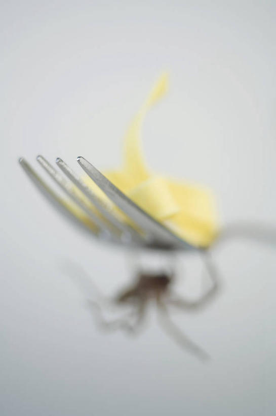 面食,面条,意大利面,无人,竖图,室内,特写,白天,白色背景,正面,西餐,餐具,一把,阴影,朦胧,模糊,反射,昆虫,蜘蛛,叉子,影子,面,料理,食品,食物,一只,动物,趴着,西式,摄影,影棚,八脚螅,节肢动物,益虫,意粉,餐叉,意面,波丝,进餐用具,趴,彩图,全身,影棚拍摄,拍摄