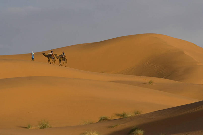 西方人,三个人,伙伴,朋友,坐,走,横图,室外,白天,侧面,旅游,度假,友谊,合作,团队,草地,草坪,美景,沙漠,植物,野生动物,欧洲,非洲,摩洛哥,黑人,欧洲人,两头,服装,纹路,头巾,纹理,景观,云,云朵,云彩,注视,娱乐,骆驼,草,衣服,绿色,白云,天空,自然,动物,天,观察,看,享受,休闲,景色,放松,战略,运输,服饰,观看,察看,衣着,穿着,关注,自然风光,肌理,沙漠之舟,联合,合谋,阿非利加洲,单峰骆驼,衣饰,摩洛哥王国,配合,协作,男人,男性,年轻男性,非洲人,大漠,砂漠,步行,走路,坐着,彩图,全身,撒哈拉沙丘