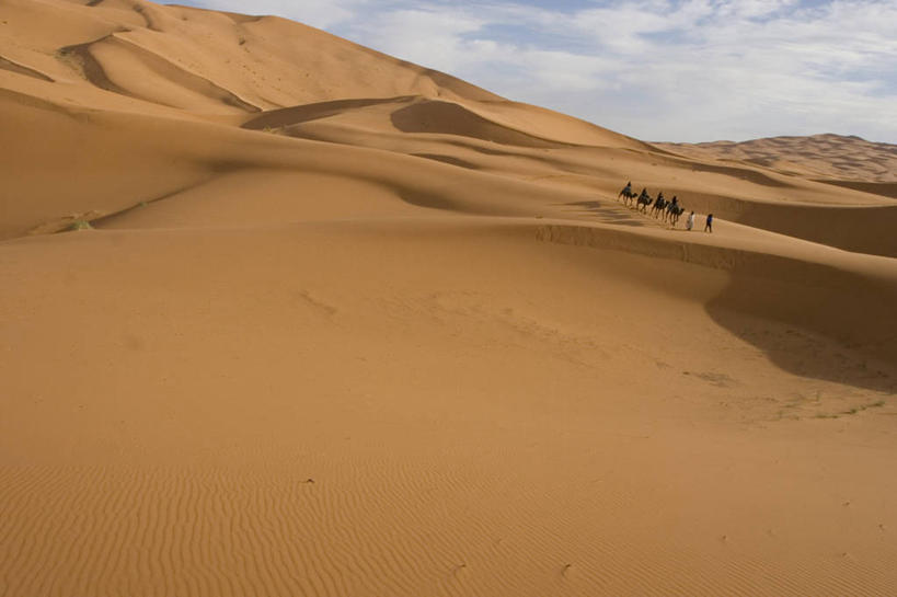 西方人,坐,走,横图,室外,白天,正面,旅游,度假,美景,沙漠,野生动物,欧洲,非洲,摩洛哥,黑人,欧洲人,行人,游客,游人,阴影,服装,光线,纹路,纹理,影子,景观,云,云朵,许多人,云彩,注视,娱乐,骆驼,路人,旅客,衣服,蓝色,白云,蓝天,天空,阳光,自然,动物,天,观察,看,一群人,享受,休闲,景色,放松,运输,服饰,晴朗,观看,察看,衣着,穿着,关注,自然风光,肌理,沙漠之舟,阿非利加洲,单峰骆驼,衣饰,摩洛哥王国,过客,男人,男性,年轻男性,年轻女性,女人,女性,非洲人,大漠,砂漠,晴空,步行,走路,坐着,彩图,全身,撒哈拉沙丘