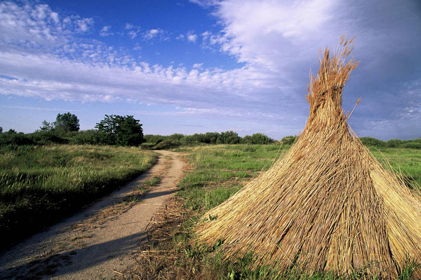 无人,横图,室外,白天,正面,旅游,度假,草地,草坪,美景,树林,植物,道路,路,芦苇,叶子,奥地利,欧洲,阴影,光线,影子,景观,云,云朵,小路,粽叶,绿叶,交通,云彩,娱乐,草,树,树木,蓝色,绿色,白云,蓝天,天空,阳光,自然,天,享受,休闲,嫩叶,景色,放松,生长,晴朗,成长,自然风光,中欧,箬叶,芦苇叶,奥地利共和国,布尔根兰,布尔根兰州,叶,叶片,晴空,彩图