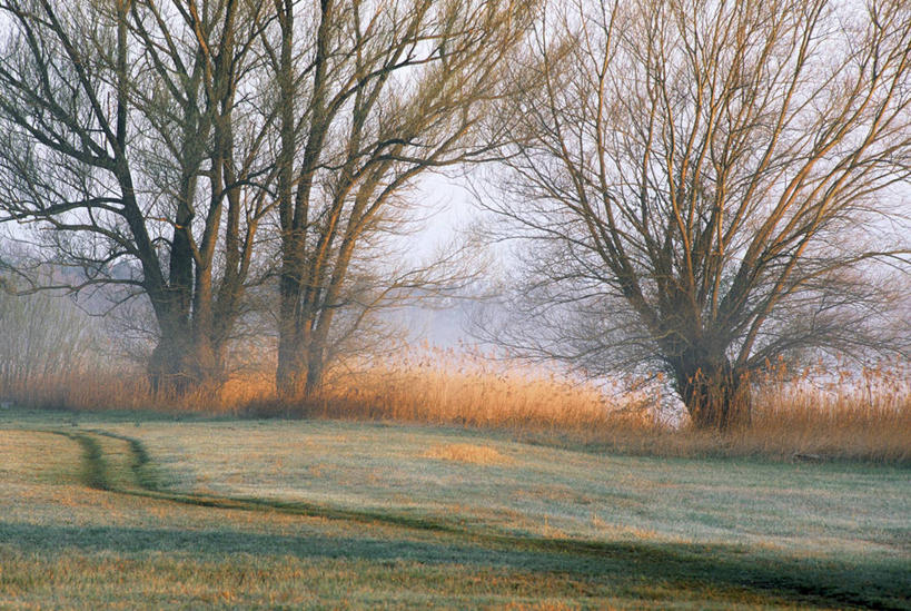 无人,横图,室外,白天,正面,旅游,度假,草地,草坪,美景,树林,植物,道路,路,德国,欧洲,景观,小路,交通,娱乐,草,树,树木,绿色,天空,自然,天,享受,休闲,景色,放松,生长,成长,西欧,自然风光,德意志联邦共和国,巴登.符腾堡,巴登.符腾堡州,巴符州,彩图,康斯坦茨