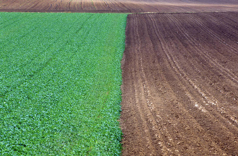 无人,农田,横图,室外,白天,正面,庄稼,农作物,美景,阴影,光线,影子,景观,泥土,土壤,阳光,自然,景色,比较,对比,自然风光,对照,比拟,比照,彩图,耕地,庄稼田