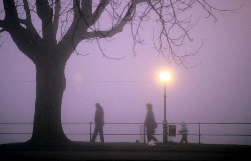 西方人,儿童,三个人,家庭,母亲,儿子,栏杆,走,横图,室外,白天,侧面,纯洁,美景,日落,太阳,雾,奥地利,欧洲,欧洲人,服装,朦胧,模糊,景观,晚霞,霞光,落日,围栏,枝条,注视,休闲装,护栏,树枝,小孩,衣服,自然,黄昏,观察,看,休闲,温暖,温馨,母子,一家人,休闲服,景色,彩霞,可爱,母爱,童年,童趣,服饰,观看,迷雾,和睦,察看,关注,自然风光,童真,烂漫,无邪,中欧,首府,奥地利共和国,夕照,虬枝,枝杈,薄暮,布雷根茨,福拉尔贝格,福拉尔贝格州,天真,男孩,年轻男性,年轻女性,女人,女性,白种人,孩子,年轻人,大雾,夕阳,步行,散步,走路,彩图,全身,傍晚,融洽,斜阳,男生