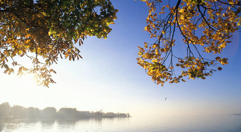 无人,横图,室外,白天,正面,旅游,度假,湖,湖泊,美景,水,植物,雾,奥地利,欧洲,阴影,朦胧,模糊,光线,影子,湖面,景观,水流,水面,娱乐,树,树木,蓝色,绿色,蓝天,天空,阳光,自然,湖水,天,享受,休闲,景色,放松,生长,晴朗,成长,迷雾,自然风光,中欧,万里无云,首府,奥地利共和国,布雷根茨,福拉尔贝格,福拉尔贝格州,大雾,晴空,晴空万里,彩图