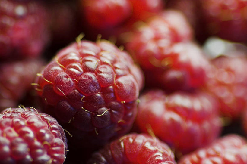 无人,横图,俯视,室内,特写,白天,水果,一堆,许多,阴影,堆叠,堆积,朦胧,模糊,新鲜,反射,影子,生食,食品,果实,很多,食物,有机食品,绿色食品,堆,山莓,树莓,三月泡,四月泡,山抛子,刺葫芦,悬钩子,馒头菠,高脚菠,龙船泡,泡儿刺,彩图,高角度拍摄