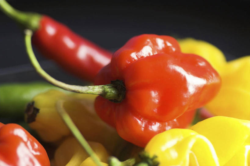 无人,横图,俯视,室内,特写,白天,辣椒,蔬菜,一堆,许多,阴影,堆叠,堆积,黑色背景,朦胧,模糊,新鲜,反射,影子,食品,很多,食物,黄色,红色,绿色,摄影,有机食品,绿色食品,影棚,堆,辣角,大椒,辣虎,广椒,墨西哥辣椒,哈雷派尼奥,哈雷派尼奥辣椒,辣子,海椒,番椒,彩图,高角度拍摄,影棚拍摄,拍摄