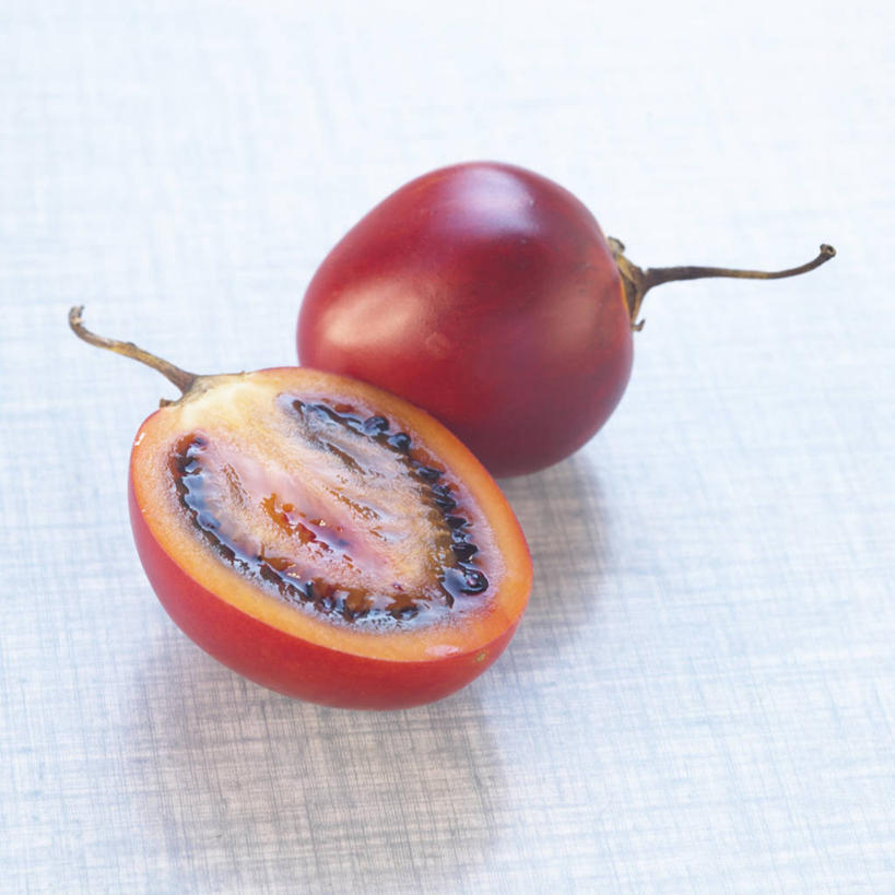 无人,方图,俯视,室内,特写,白天,白色背景,西红柿,水果,切开,阴影,新鲜,反射,影子,生食,食品,果实,种子,食物,两个,红色,切,摄影,有机食品,绿色食品,影棚,树番茄,剖面,切面,番茄,彩图,高角度拍摄,影棚拍摄,拍摄,树茄果