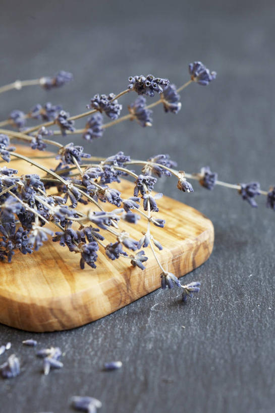 无人,竖图,俯视,室内,特写,白天,爱情,黑色背景,盛开,干枯,纹路,纹理,案板,浪漫,花蕾,砧板,花,花瓣,花朵,鲜花,紫色,香草,花苞,花蕊,薰衣草,摄影,影棚,干涸,呼吸,肌理,灵香草,黄香草,枯竭,奇迹,彩图,高角度拍摄,影棚拍摄,拍摄