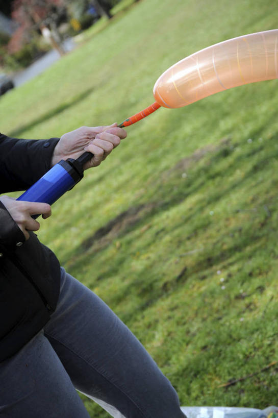 西方人,一个人,站,竖图,室外,白天,侧面,草地,草坪,植物,欧洲,欧洲人,仅一个年轻女性,仅一个女性,仅一个人,握,阴影,服装,装饰,光线,影子,塑料,拿,拿着,休闲装,设备,草,树,树木,一个,衣服,绿色,阳光,自然,气球,塑料制品,站着,休闲,休闲服,橙色,橡胶,打气筒,打气,握着,充气,服饰,生长,单个,成长,华丽,修饰,点缀,装备,橡胶制品,衬托,美观,雅致,雅观,空气泵,设置,充气筒,年轻女性,女人,女性,白种人,站立,半身,彩图