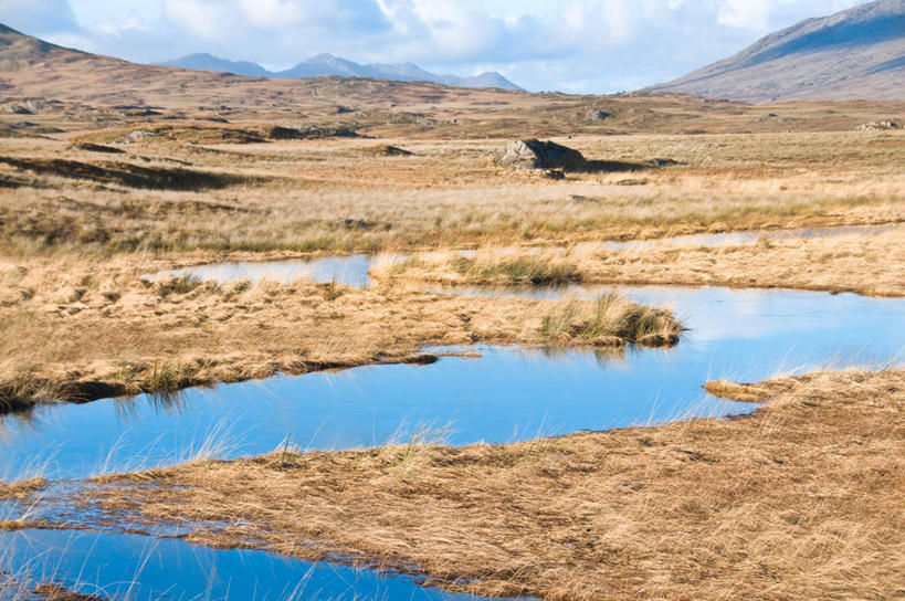 无人,公园,横图,俯视,室外,白天,旅游,度假,湖,湖泊,石头,美景,山,山脉,水,植物,爱尔兰,欧洲,阴影,枯萎,光线,石子,影子,湖面,景观,山峰,水流,水面,云,云朵,枯草,山峦,云彩,娱乐,草,黄色,蓝色,白云,蓝天,天空,阳光,自然,湖水,群山,天,享受,休闲,景色,放松,晴朗,国家公园,西欧,自然风光,爱尔兰共和国,戈尔韦,康诺特省,康尼马拉国家公园,高威郡,戈尔韦郡,石块,岩石,晴空,彩图,高角度拍摄,高威,郡治