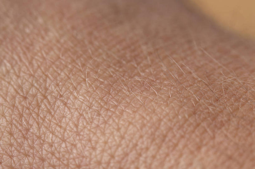 无人,横图,俯视,室内,特写,白天,微生物,阴影,反射,科学,医学,细胞,影子,摄影,影棚,皮肤,生物学,毛孔,彩图,高角度拍摄,影棚拍摄,拍摄