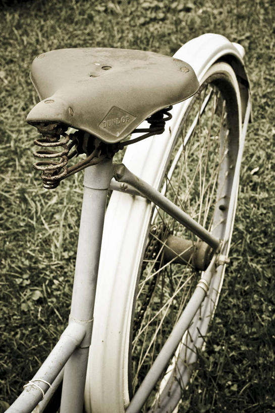 无人,竖图,俯视,室外,特写,白天,植物,自行车,一辆,枯萎,枯草,车,脚踏车,草,黄色,交通工具,载具,彩图,高角度拍摄