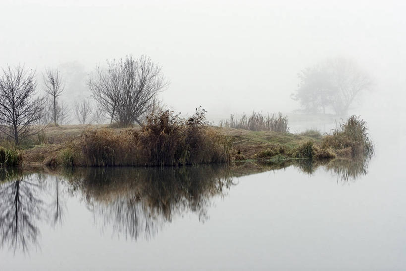 无人,横图,室外,白天,正面,旅游,度假,草地,草坪,湖,湖泊,美景,水,植物,雾,奥地利,欧洲,波纹,朦胧,模糊,湖面,景观,水流,水面,涟漪,娱乐,草,树,树木,绿色,倒影,水纹,天空,自然,波浪,湖水,天,享受,休闲,景色,放松,生长,成长,迷雾,倒映,自然风光,中欧,水晕,奥地利共和国,反照,布尔根兰,布尔根兰州,大雾,彩图,居辛县,劳赫瓦特