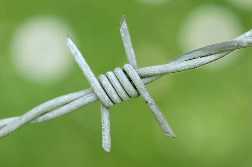 无人,横图,室外,特写,白天,正面,安全,朦胧,模糊,防护,铁丝网,保护,保险,保全,周全,安稳,安定,铁蒺藜,平安,彩图