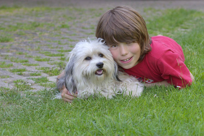 西方人,儿童,一个人,笑,微笑,露齿笑,横图,室外,白天,正面,纯洁,草地,草坪,植物,宠物,狗,欧洲,欧洲人,仅一个男性,仅一个人,服装,注视,休闲装,草,一只,小孩,衣服,绿色,动物,观察,看,趴着,仅一个小孩,休闲,休闲服,可爱,童年,童趣,服饰,牧羊犬,观看,察看,关注,童真,烂漫,无邪,忠诚,古代牧羊犬,古牧,截尾犬,英国古代牧羊犬,天真,男孩,男人,男性,白种人,孩子,犬,趴,彩图,全身,男生