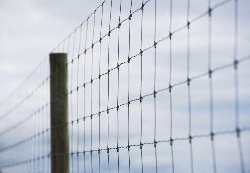 无人,栏杆,横图,室外,特写,白天,仰视,旅游,度假,安全,美景,美国,阴影,朦胧,模糊,光线,影子,栅栏,景观,篱笆,云,云朵,围栏,防护,铁丝网,云彩,娱乐,护栏,蓝色,白云,蓝天,天空,阳光,自然,天,享受,休闲,景色,放松,晴朗,保护,北美,北美洲,自然风光,美洲,保险,弗吉尼亚,弗吉尼亚州,北亚美利加洲,亚美利加洲,保全,周全,安稳,安定,维吉尼亚,老自治领州,铁蒺藜,汉普顿,平安,晴空,彩图,低角度拍摄,美利坚合众国