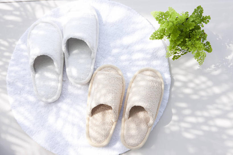 无人,横图,俯视,室内,特写,白天,植物,鞋子,叶子,纺织品,阴影,光线,盆栽,毯子,影子,绿叶,盆景,两双,纺织,绿色,阳光,自然,垫子,拖鞋,嫩叶,生长,成长,舒适,防滑垫,方便,叶,叶片,彩图,高角度拍摄