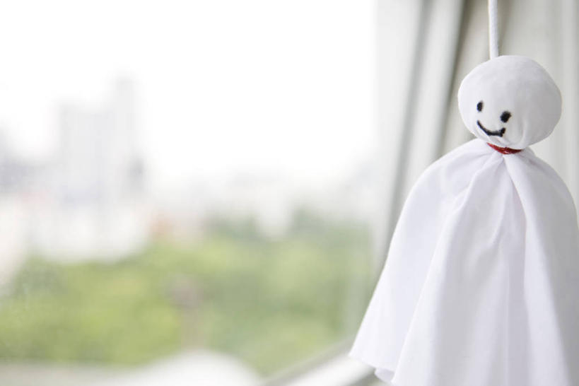 无人,横图,室内,特写,白天,正面,植物,窗户,阴影,朦胧,模糊,反射,影子,文化,玻璃窗,树,树木,一个,绿色,白色,自然,绳子,祈祷,健康,许愿,生长,单个,成长,纪念,绳索,祈求,晴天娃娃,放晴娘,晴天和尚,扫晴娘,扫天婆,平安,彩图