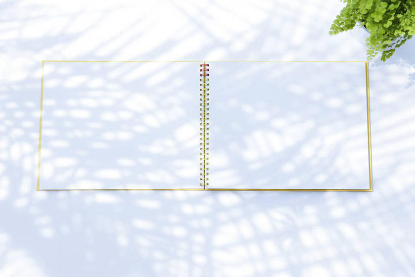 无人,横图,俯视,室内,特写,白天,白色背景,植物,一本,阴影,反射,盆栽,影子,盆景,素描本,绿色,自然,本子,打开,翻开,摄影,影棚,生长,成长,掀开,彩图,高角度拍摄,影棚拍摄,拍摄,速写本,画画本,绘图本,手绘本,涂鸦本