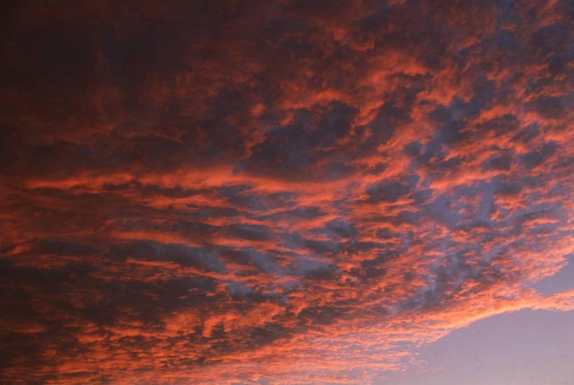 无人,横图,室外,特写,白天,仰视,美景,日落,阴影,光线,纹路,纹理,影子,景观,晚霞,霞光,云,云朵,落日,火烧云,云彩,红色,阳光,自然,黄昏,景色,彩霞,火红,自然风光,肌理,赤色,夕照,薄暮,夕阳,彩图,低角度拍摄,傍晚,低云,斜阳