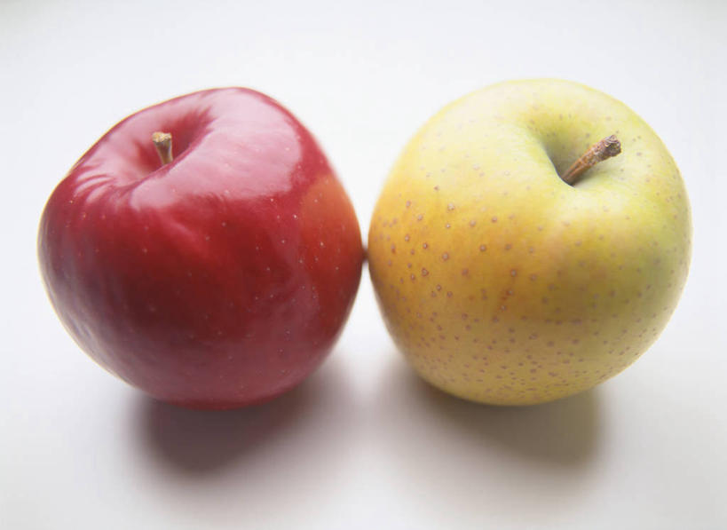 无人,横图,俯视,室内,特写,白天,白色背景,苹果,水果,阴影,新鲜,反射,影子,生食,食品,果实,食物,两个,红色,红苹果,摄影,有机食品,绿色食品,影棚,彩图,高角度拍摄,影棚拍摄,拍摄