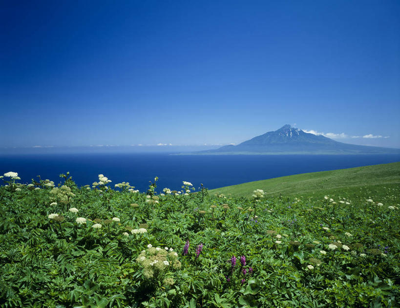 无人,横图,室外,白天,正面,旅游,度假,草地,草坪,海浪,海洋,花海,花圃,美景,植物,叶子,北海道,日本,亚洲,阴影,盛开,光线,影子,景观,浪花,云,云朵,花蕾,云彩,娱乐,草,花,花瓣,花朵,花卉,鲜花,蓝色,绿色,白云,蓝天,天空,阳光,自然,海水,花丛,花束,花田,天,花苞,花蕊,享受,休闲,景色,放松,晴朗,自然风光,海景,东亚,日本国,北海道地方,北海道岛,大海,风浪,海,海水的波动,近岸浪,涌浪,晴空,彩图,振兴局,礼文岛,礼文郡,礼文町,宗谷综合振兴局