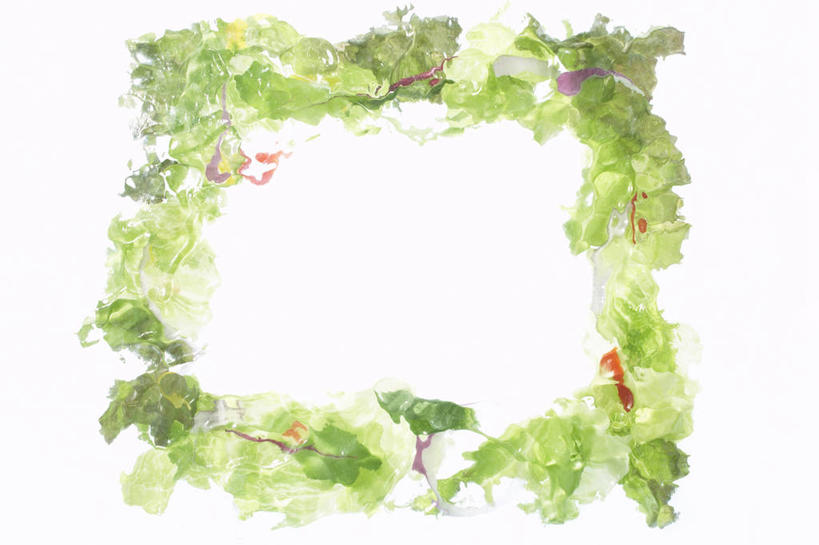 无人,横图,俯视,室内,特写,白天,白色背景,烹饪,西餐,蔬菜,叶子,新鲜,生菜,莴苣,调料,酱料,酱汁,蔬菜沙拉,佐料,沙拉,料理,食品,绿叶,调味品,调味料,色拉,酱,沙拉酱,沙律,菜肴,美食,食物,嫩叶,西式,摄影,佳肴,有机食品,绿色食品,影棚,色拉酱,春菜,鹅仔菜,莴仔菜,千金菜,叶用莴苣,叶,叶片,彩图,高角度拍摄,影棚拍摄,拍摄