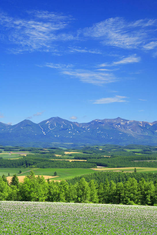 无人,竖图,室外,白天,正面,旅游,度假,草地,草坪,石头,美景,山,山脉,植物,蔬菜,土豆,北海道,日本,亚洲,阴影,新鲜,光线,石子,影子,景观,山峰,云,云朵,食品,山峦,云彩,娱乐,草,树,树木,食物,蓝色,绿色,白云,蓝天,天空,阳光,自然,群山,天,享受,休闲,景色,放松,有机食品,绿色食品,生长,晴朗,成长,自然风光,东亚,日本国,北海道地方,北海道岛,馍馍蛋,石块,岩石,晴空,洋芋,山药蛋,马铃薯,彩图,十胜综合振兴局,振兴局,道东