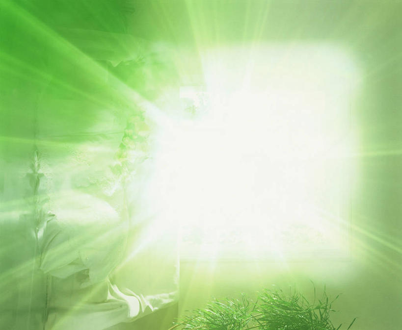 无人,横图,室外,白天,正面,长时间曝光,植物,阴影,朦胧,梦幻,模糊,发光,光束,光线,影子,光亮,树,树木,绿色,阳光,自然,生长,成长,未来,发亮,曝光,憧憬,彩图