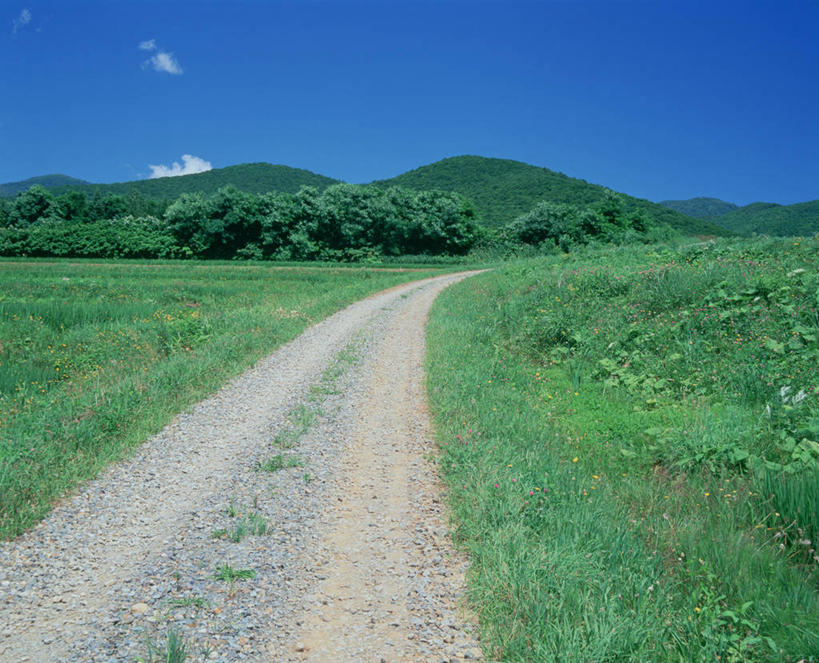 无人,横图,室外,白天,正面,旅游,度假,草地,草坪,美景,山,山脉,植物,道路,路,棕榈树,叶子,北海道,日本,亚洲,阴影,光线,影子,景观,山峰,云,云朵,小路,绿叶,交通,山峦,云彩,娱乐,草,树,树木,蓝色,绿色,白云,蓝天,天空,阳光,自然,群山,天,享受,休闲,嫩叶,景色,放松,乡间小路,生长,晴朗,成长,自然风光,东亚,棕榈叶,日本国,北海道地方,北海道岛,叶,叶片,晴空,棕树,棕榈,彩图,后志支厅,后志综合振兴局,岩内郡,道央,岩内町