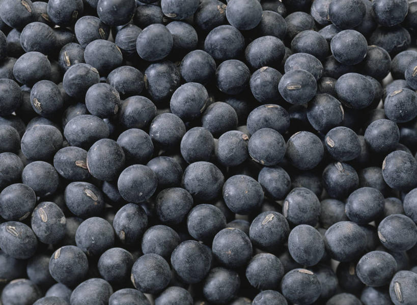 无人,横图,俯视,室内,特写,白天,植物,豆,蔬菜,一堆,许多,阴影,堆叠,堆积,新鲜,反射,影子,豆类,豆子,黑豆,食品,很多,食物,黑色,摄影,有机食品,绿色食品,影棚,堆,豆科,乌豆,乌大豆,彩图,高角度拍摄,全画面,全框架,全帧,影棚拍摄,拍摄,全画幅