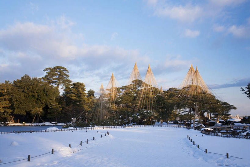 无人,横图,室外,白天,正面,旅游,度假,美景,森林,树林,雪,植物,大雪,松树,日本,亚洲,阴影,光线,影子,积雪,景观,雪景,云,云朵,冬季,冬天,云彩,娱乐,树,树木,蓝色,绿色,白云,蓝天,天空,阳光,自然,天,享受,休闲,景色,放松,寒冷,生长,晴朗,成长,自然风光,坚定,东亚,本州,本州岛,日本国,金沢,金沢市,石川,石川县,中部地方,兼六园,长寿,严寒,县厅,贞洁,晴空,彩图