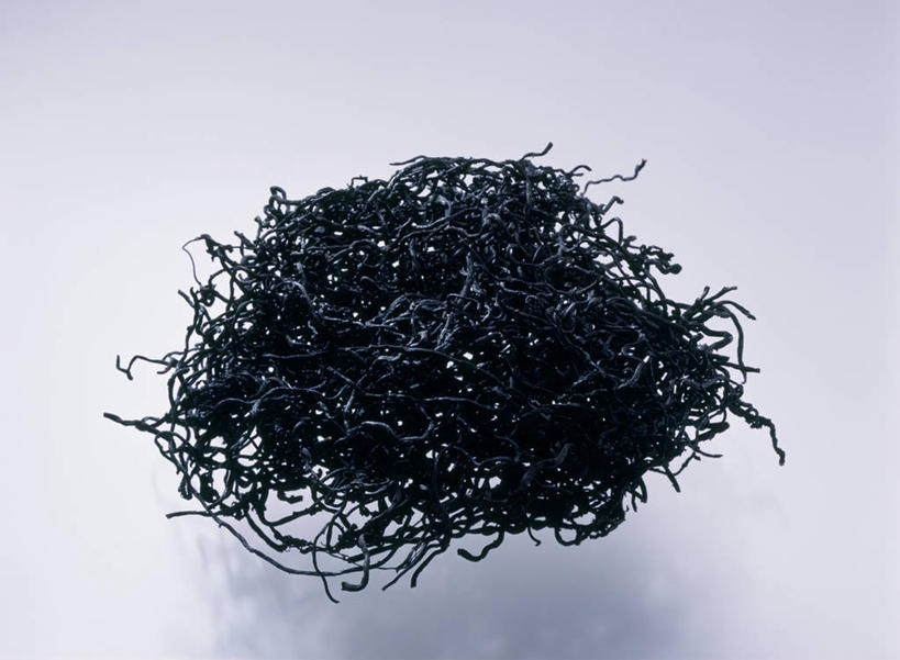 无人,横图,室内,特写,白天,白色背景,正面,阴影,环绕,缠绕,反射,影子,海藻,摄影,影棚,海草,纠缠,彩图,影棚拍摄,拍摄