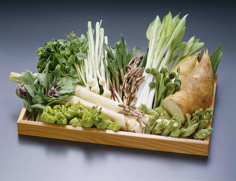 无人,横图,俯视,室内,特写,白天,植物,餐桌,桌子,蔬菜,餐具,阴影,灰色背景,新鲜,反射,碟子,盘,影子,竹笋,食品,笋,食物,绿色,自然,盘子,碟,马尾,摄影,有机食品,绿色食品,影棚,生长,成长,餐台,蕨类,蕨类植物,问荆,接续草,公母草,搂接草,空心草,马蜂草,猪鬃草,黄蚂草,节节草,接骨草,彩图,高角度拍摄,影棚拍摄,拍摄,木贼,马尾植物