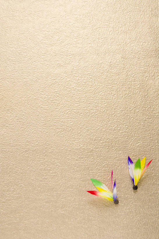 无人,竖图,俯视,室内,白天,锻炼,运动,静物,阴影,反射,板羽球,影子,运动器械,两个,健身器械,摄影,影棚,毽子,健身器材,毽球,花毽,鸡毛毽,打手毽,毽子板球,体育,彩图,高角度拍摄,影棚拍摄,健身,拍摄,运动器材