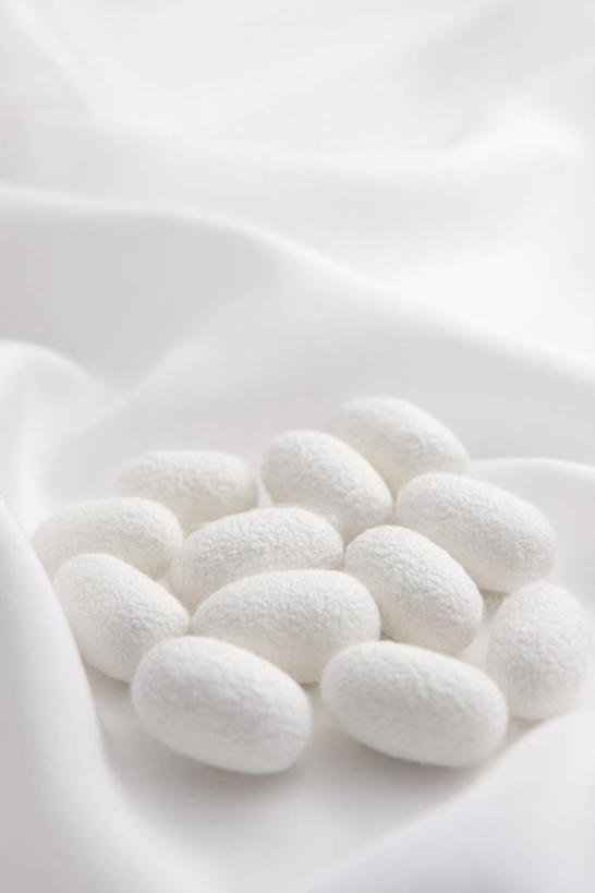 无人,竖图,俯视,室内,特写,白天,白色背景,静物,纺织品,阴影,反射,布,蚕丝,丝绸,影子,绸缎,织物,白色,摄影,影棚,布匹,卫生,纯真,洁净,光明,恬静,中间色,朴素,清白,彩图,高角度拍摄,影棚拍摄,拍摄,真丝绸