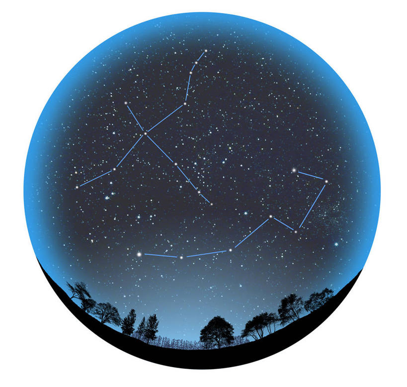 无人,横图,室内,白天,白色背景,正面,数码,宇宙,科技,草地,草坪,树林,植物,阴影,网络,高光,几何,计算机图形,合成,草,树,树木,绿色,自然,星座,生长,成长,电脑合成图,数码合成图,合成图,天文,占卜,天文学,写实,具体,具象,星相,占星,天鹅座,小熊座,彩图