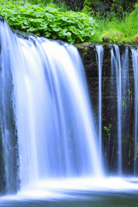 无人,竖图,室外,白天,正面,旅游,度假,草地,草坪,美景,瀑布,树林,水,植物,长野县,日本,亚洲,阴影,飞溅,溅,光线,液体,影子,景观,水滴,娱乐,水珠,草,树,树木,绿色,阳光,自然,享受,休闲,景色,放松,生长,成长,喷洒,自然风光,东亚,本州,本州岛,日本国,中部地方,长野,轻井泽,轻井泽町,白丝瀑布,跌水,彩图,北佐久郡