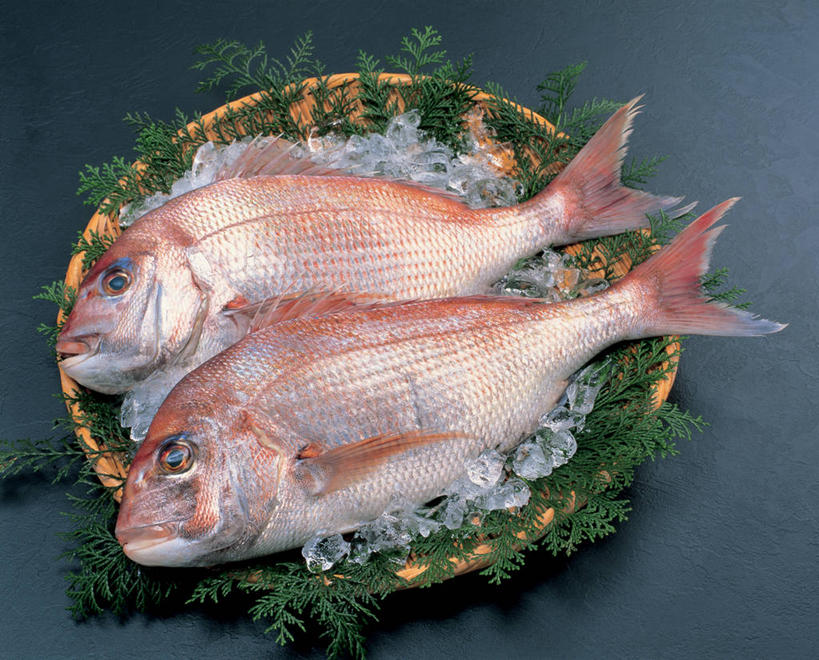 无人,横图,俯视,室内,特写,白天,叶子,两条,黑色背景,鱼,扁担,冰,冰块,绿叶,鲷鱼,冷冻,鱼类,嫩叶,寒冷,摄影,影棚,冷藏,鲷,加吉鱼,铜盆鱼,冰冷,水生动物,水生物,农具,班加吉,加真鲷,保鲜,竹木用具,叶,叶片,彩图,高角度拍摄,全身,影棚拍摄,拍摄