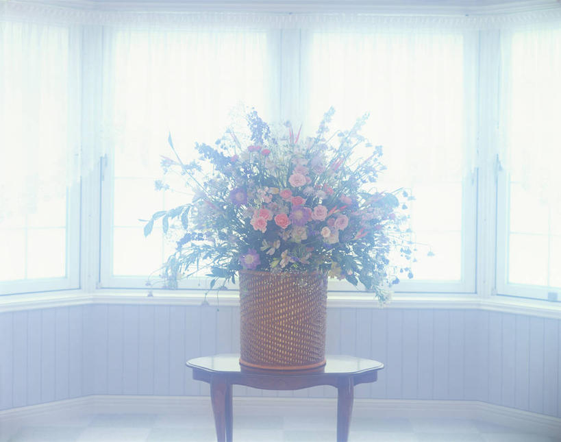 无人,横图,室内,白天,正面,窗户,桌面,桌子,花瓶,朦胧,模糊,盛开,木制,陶瓷,木桌,陶瓷制品,花蕾,玻璃窗,花,花瓣,花朵,鲜花,木制品,瓶子,花苞,花蕊,彩图,木桌子