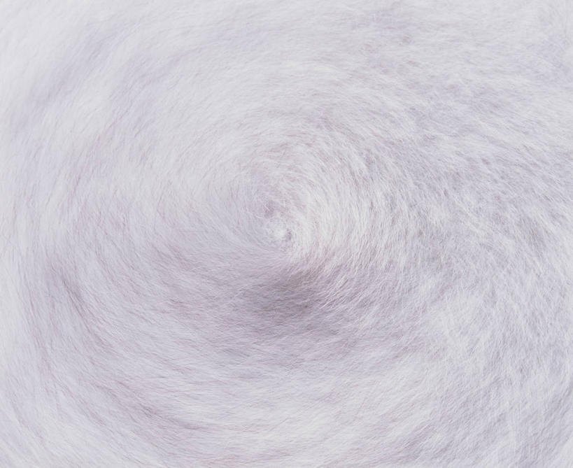 无人,横图,室内,特写,白天,正面,静物,纹路,纹理,皮,皮革,灰色,肌理,柔和,大方,细致,中间色,朴素,平稳,螺旋状,彩图,螺旋形,螺旋形状,螺旋型